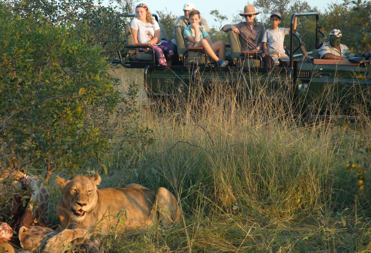 Pungwe Safari Camp Villa Manyeleti Game Reserve Exterior photo